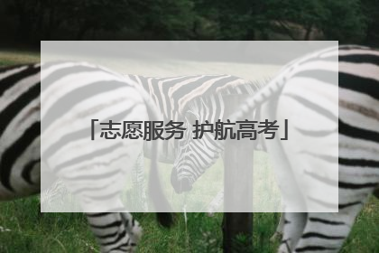 志愿服务 护航高考