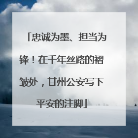 忠诚为墨、担当为锋！在千年丝路的褶皱处，甘州公安写下平安的注脚