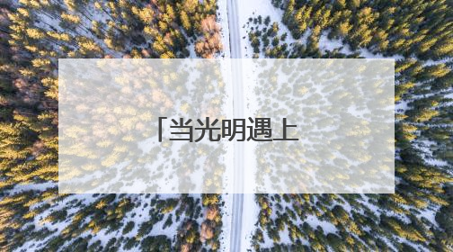 当光明遇上蚂蚁……