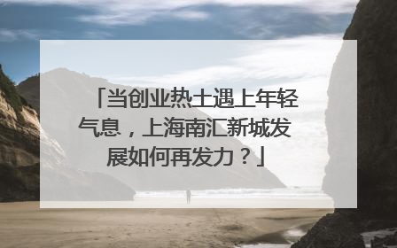 当创业热土遇上年轻气息，上海南汇新城发展如何再发力？