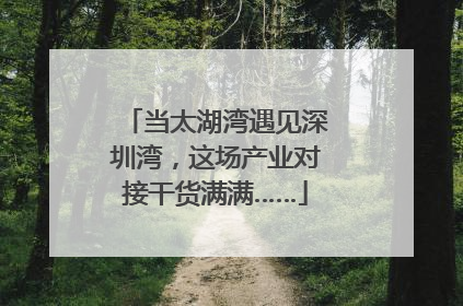 当太湖湾遇见深圳湾，这场产业对接干货满满……