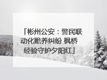 彬州公安：警民联动化赡养纠纷 枫桥经验守护夕阳红