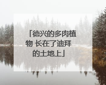 德兴的多肉植物 长在了迪拜的土地上