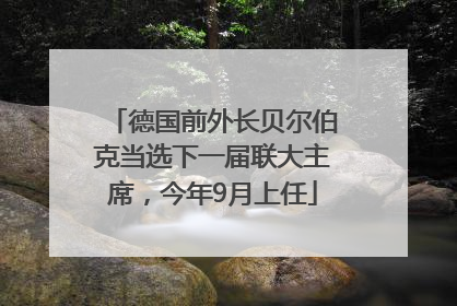 德国前外长贝尔伯克当选下一届联大主席，今年9月上任