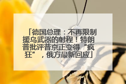 德国总理：不再限制援乌武器的射程！特朗普批评普京正变得“疯狂”，俄方最新回应