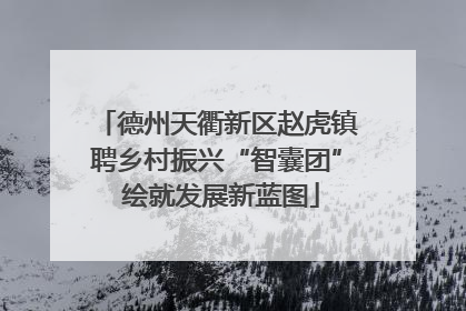 德州天衢新区赵虎镇聘乡村振兴“智囊团” 绘就发展新蓝图