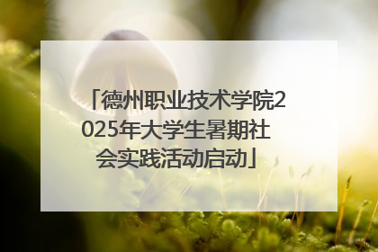 德州职业技术学院2025年大学生暑期社会实践活动启动