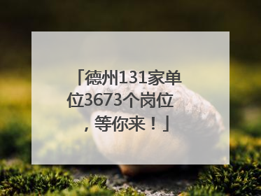 德州131家单位3673个岗位，等你来！