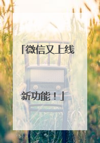 微信又上线新功能！