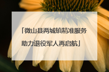 微山县两城镇精准服务助力退役军人再启航