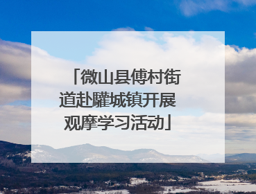 微山县傅村街道赴驩城镇开展观摩学习活动