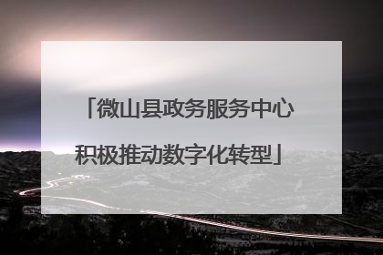 微山县政务服务中心积极推动数字化转型