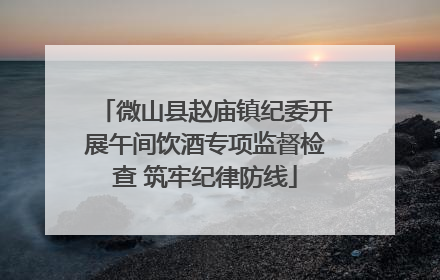 微山县赵庙镇纪委开展午间饮酒专项监督检查 筑牢纪律防线
