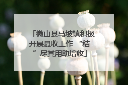 微山县马坡镇积极开展夏收工作 “秸”尽其用助增收