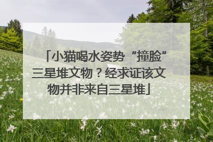小猫喝水姿势“撞脸”三星堆文物？经求证该文物并非来自三星堆