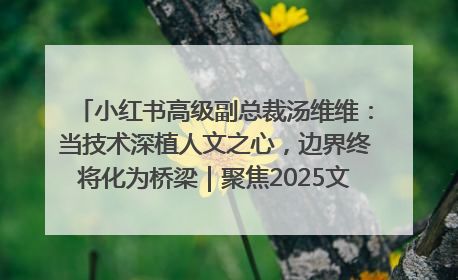 小红书高级副总裁汤维维：当技术深植人文之心，边界终将化为桥梁｜聚焦2025文化强国建设高峰论坛