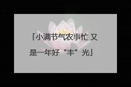 小满节气农事忙 又是一年好“丰”光