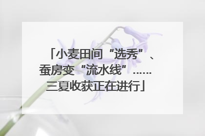 小麦田间“选秀”、蚕房变“流水线”……三夏收获正在进行