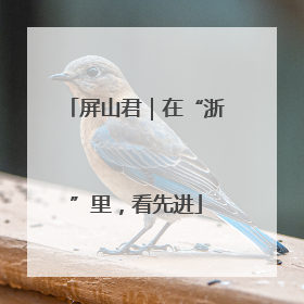 屏山君｜在“浙”里，看先进