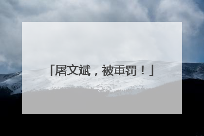 屠文斌，被重罚！