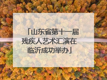 山东省第十一届残疾人艺术汇演在临沂成功举办