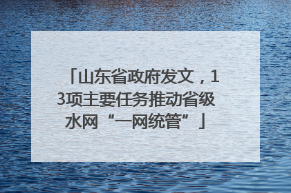 山东省政府发文，13项主要任务推动省级水网“一网统管”
