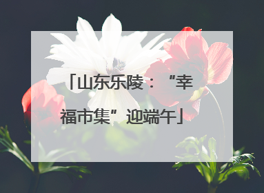 山东乐陵：“幸福市集”迎端午