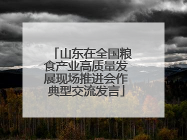山东在全国粮食产业高质量发展现场推进会作典型交流发言