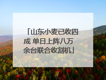 山东小麦已收四成 单日上阵八万余台联合收割机