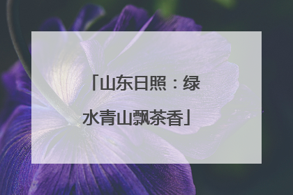 山东日照：绿水青山飘茶香