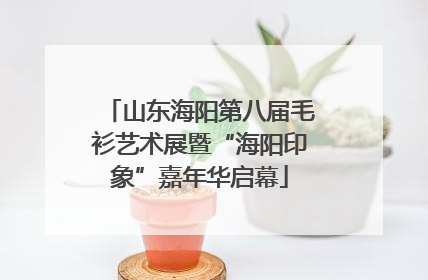 山东海阳第八届毛衫艺术展暨“海阳印象”嘉年华启幕
