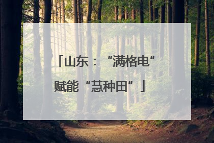 山东：“满格电”赋能“慧种田”