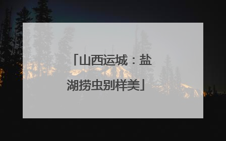 山西运城：盐湖捞虫别样美