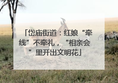 岱庙街道：红娘“牵线”不牵礼，“相亲会”里开出文明花