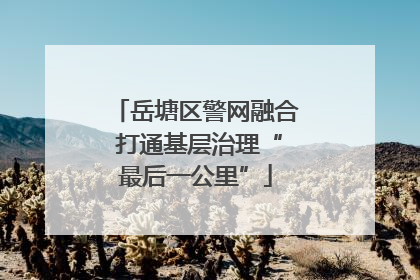 岳塘区警网融合 打通基层治理“最后一公里”