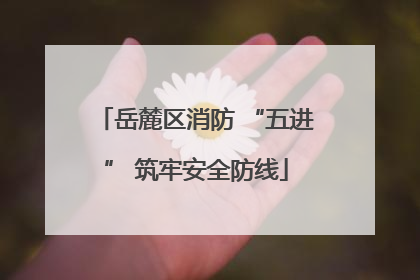 岳麓区消防 “五进” 筑牢安全防线