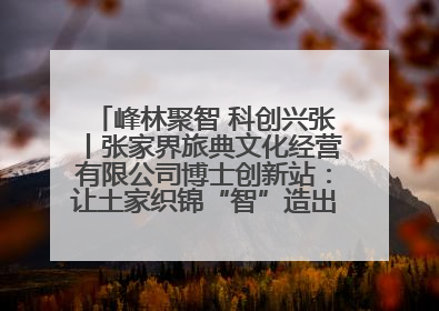 峰林聚智 科创兴张丨张家界旅典文化经营有限公司博士创新站：让土家织锦“智”造出非遗新传奇