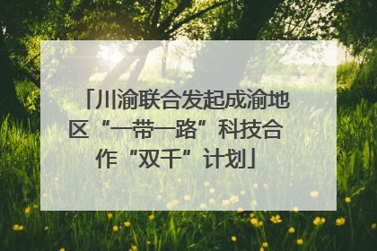 川渝联合发起成渝地区“一带一路”科技合作“双千”计划