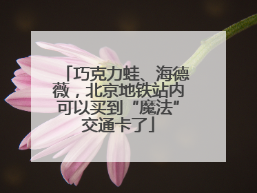 巧克力蛙、海德薇，北京地铁站内可以买到“魔法”交通卡了