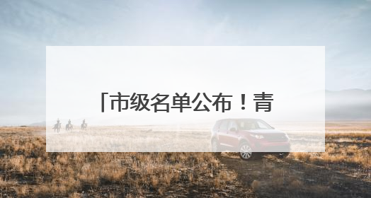 市级名单公布！青岛西海岸新区入选数量位居全市第一