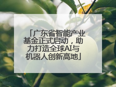 广东省智能产业基金正式启动，助力打造全球AI与机器人创新高地