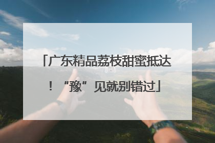 广东精品荔枝甜蜜抵达！“豫”见就别错过