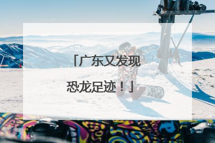 广东又发现恐龙足迹！