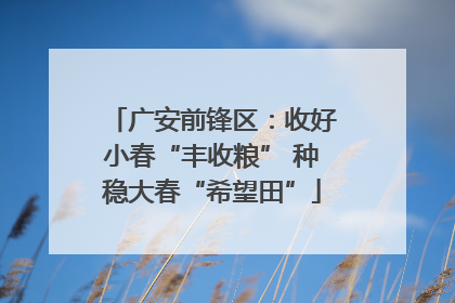 广安前锋区：收好小春“丰收粮” 种稳大春“希望田”
