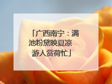 广西南宁：满池粉黛映夏凉 游人赏荷忙