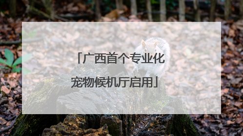 广西首个专业化宠物候机厅启用