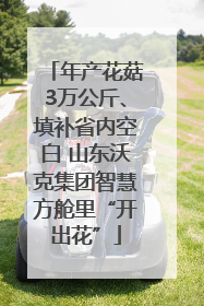 年产花菇3万公斤、填补省内空白 山东沃克集团智慧方舱里“开出花”