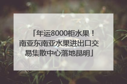 年运8000柜水果！南亚东南亚水果进出口交易集散中心落地昆明
