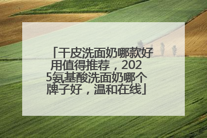 干皮洗面奶哪款好用值得推荐，2025氨基酸洗面奶哪个牌子好，温和在线