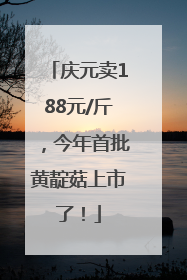 庆元卖188元/斤，今年首批黄靛菇上市了！
